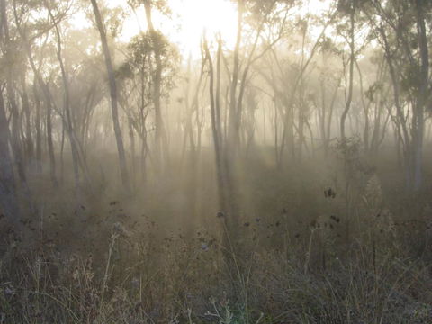 Fergies Hill Spa Cottage @ Granite Ridge Wines - Accommodation NT 1