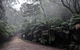 Fern Tree Tavern - thumb 2