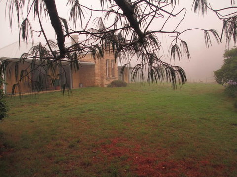 Ferndale B&B - Accommodation NT 1