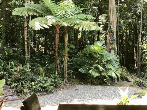 Forest Views Daintree - Accommodation NT 0