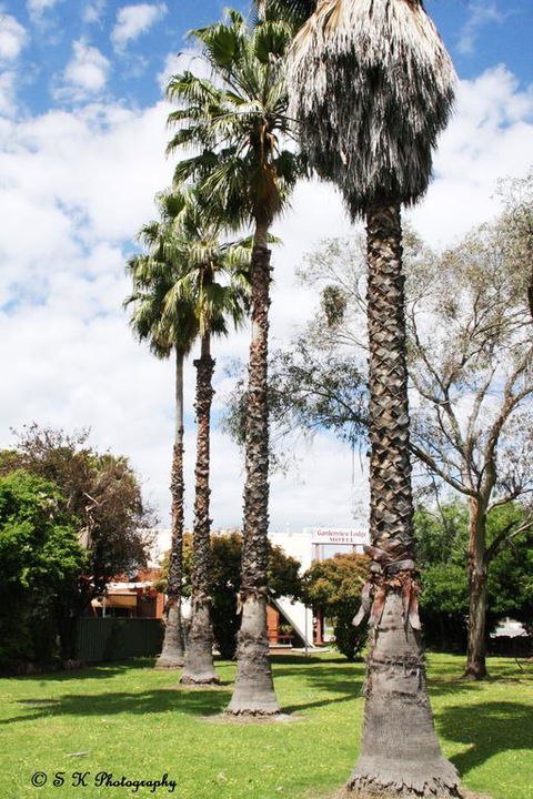 Gardenview - Accommodation NT 3