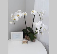 Gawler Heritage Accommodation - Accommodation NT