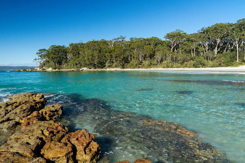 Gorgeous Beachside Cottage Jervis Bay - Accommodation NT 0