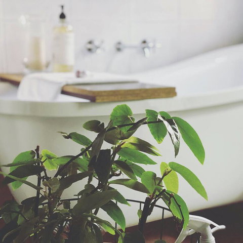 Ground Level Heygarth House Residence - Accommodation NT 3