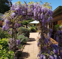 Gumtree House Montville