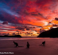Heather's Mica Cottage - Accommodation NT