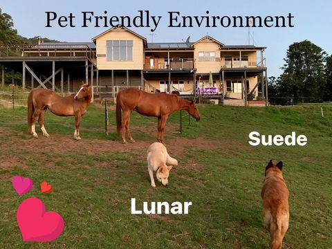 Heavenly Retreat B&B - Accommodation NT 1