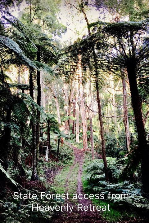 Heavenly Retreat B&B - Accommodation NT 3