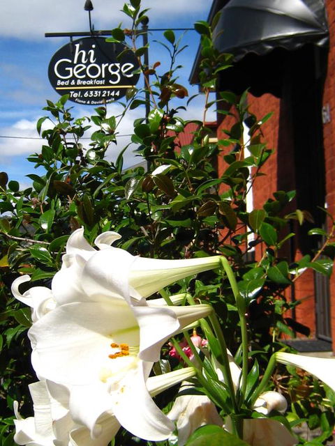Hi George B&B - NT Tourism 1