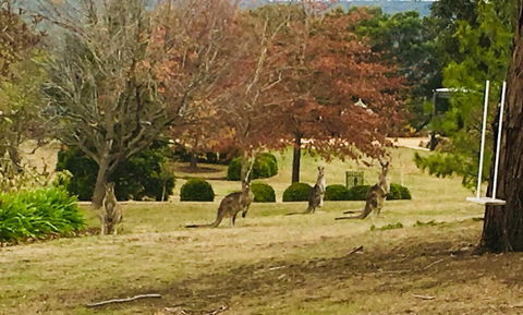 Highfield Cottage - Accommodation NT 2