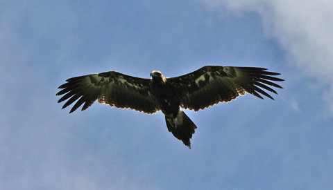 Highwood Park B&B Guest Lodge - Accommodation NT 3