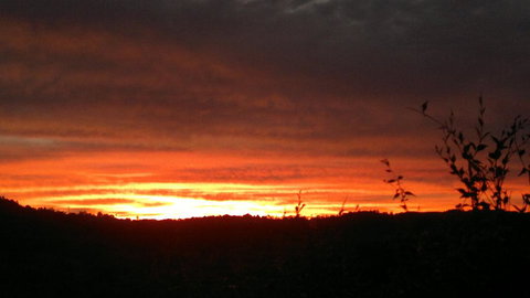 Highwood Park B&B Guest Lodge - Accommodation NT 2