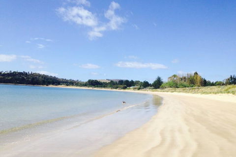 Hobart Beach Front Cottage - Accommodation NT 0
