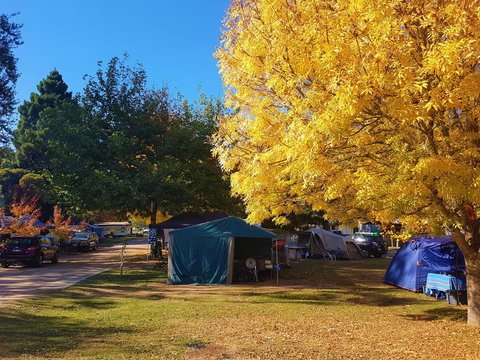 Jamieson Caravan Park - Accommodation NT 2