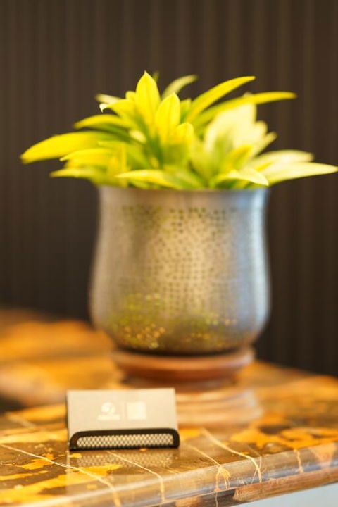 Jephson Hotel & Apartments - Accommodation NT 3