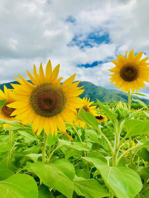 JJs Backpackers Hostel - Accommodation NT 3