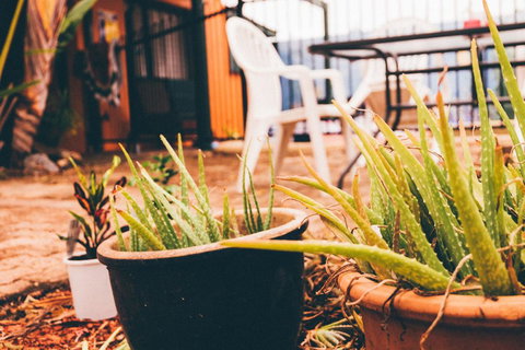 JJs Backpackers Hostel - Accommodation NT 2