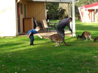 Book Kalgan Accommodation Vacations Accommodation NT Accommodation NT