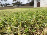 Book Karoonda Accommodation Vacations Accommodation NT Accommodation NT
