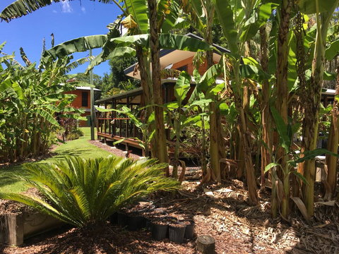 Kin Kin Cottage Retreat - Accommodation NT 3