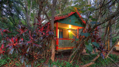 Lake Eacham Tourist Park & Cabins - Accommodation NT 3