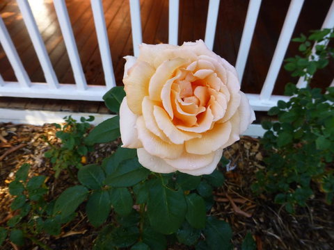 Lakeside Bed & Breakfast - Accommodation NT 2