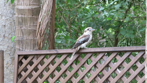 Lana's Cottage - Arcadia - Accommodation NT 2