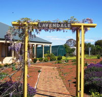 Lavendale Farmstay and Cottages York - Accommodation NT