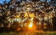 Linga Longa Spiritual Retreat - thumb 3