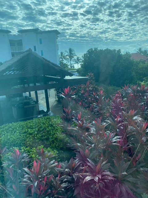 Luxury Apartment, Perfect Location - NT Tourism 3