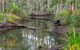 Mango Lodge At River Heads - thumb 3