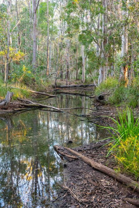 Mango Lodge At River Heads - NT Tourism 3