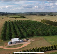 Millthorpe Truffles - Gorgeous getaway for 2 - NT Tourism