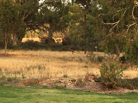 Murrord Wetlands - NT Tourism 3