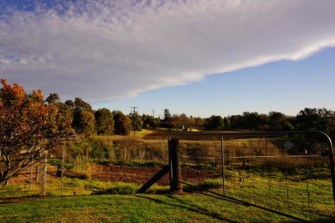 Muswellbrook Northside B&B - Accommodation NT 3