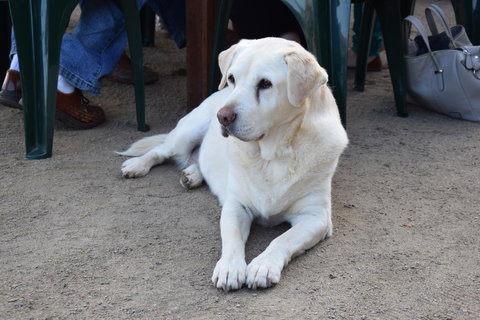 Nazaaray Beach House - Accommodation NT 0