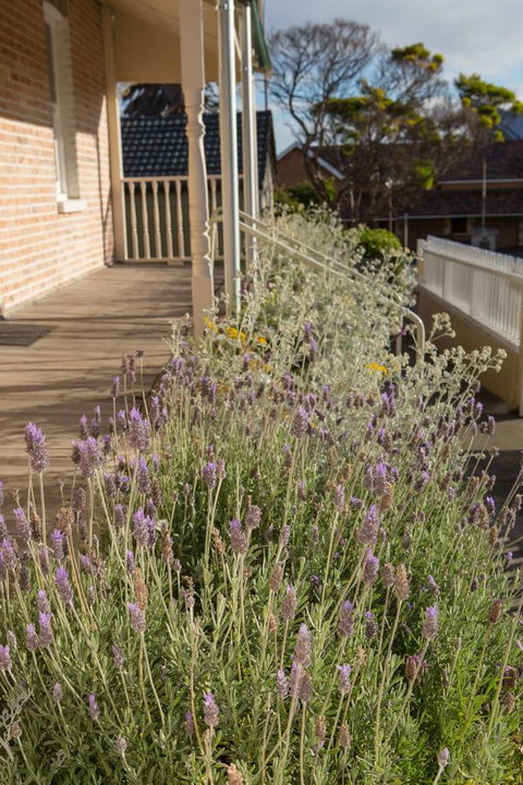 Spencer Cottage - NT Tourism 11