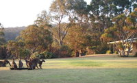 Book Walpole Accommodation Vacations Accommodation NT Accommodation NT