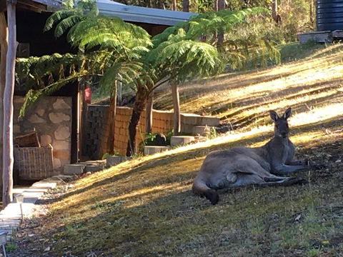 Kangaroo Valley Cottage - NT Tourism 3