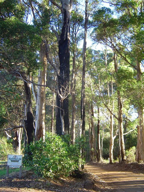 Kangaroo Valley Cottage - NT Tourism 21