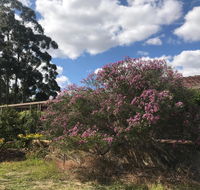 Cockburn Retreat Home  - NT Tourism