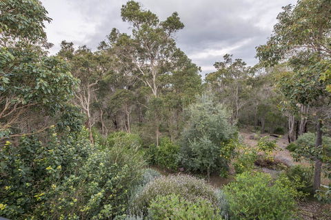 A Hidden Bush Delight - NT Tourism 7