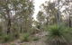 A Hidden Bush Delight - thumb 23