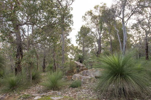 A Hidden Bush Delight - NT Tourism 23