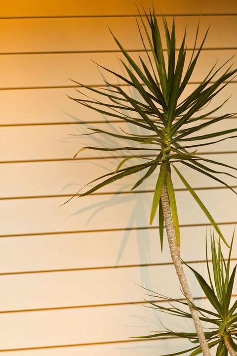 The Billi Resort - Accommodation NT 44