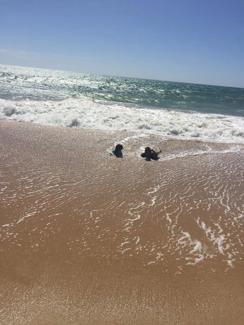 Beach House At SeaScapes.. - Accommodation NT 30