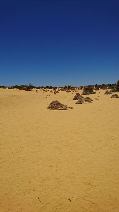The Bothy Lancelin Family Retreat - NT Tourism 35