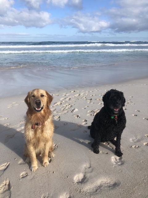 The Bothy Lancelin Family Retreat - NT Tourism 32