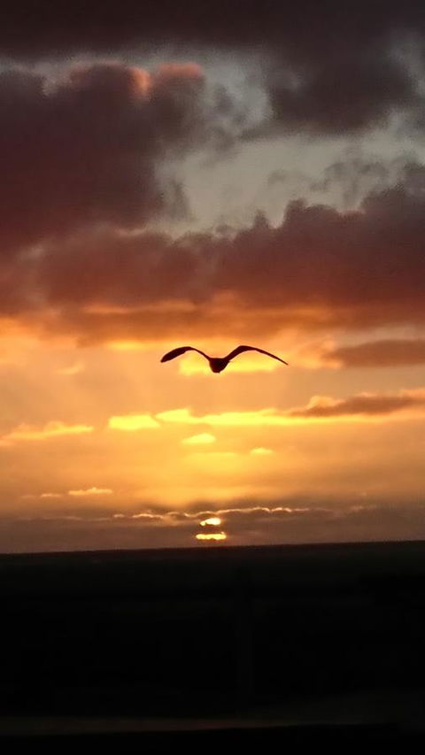 The Bothy Lancelin Family Retreat - NT Tourism 28
