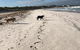 The Bothy Lancelin Family Retreat - thumb 30